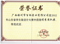 山東省學生裝設(shè)計大賽優(yōu)秀團隊獎